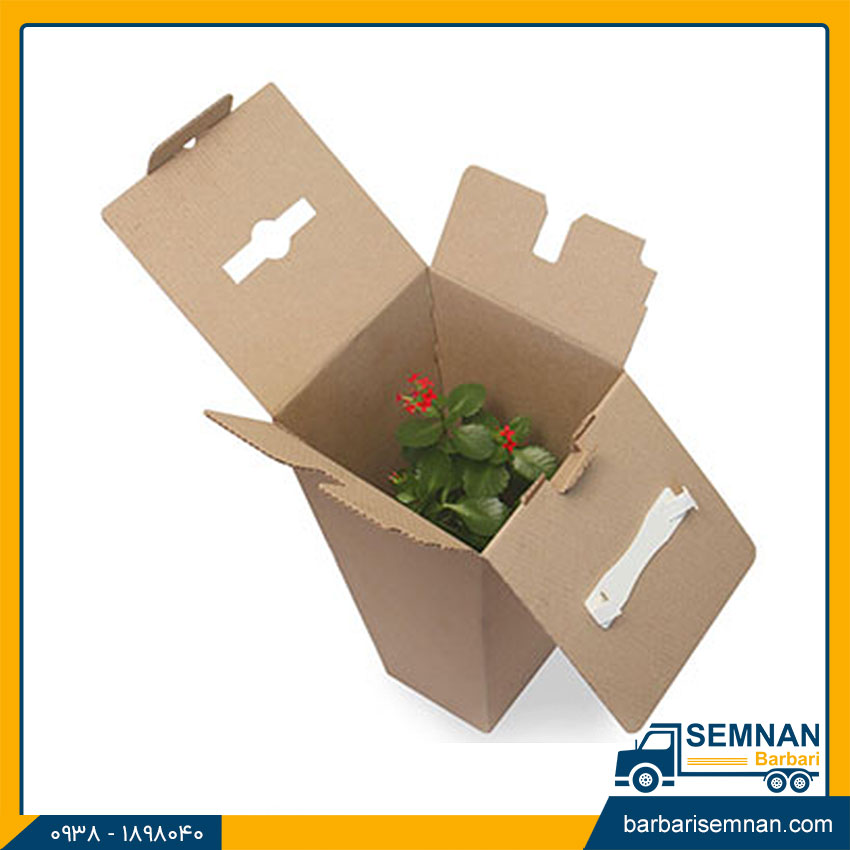 جابجایی گیاهان آپارتمانی در اسباب کشی 3 در اسباب کشی چگونه گیاهان را جابجا کنیم