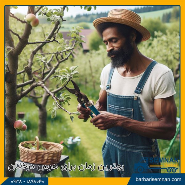 بهترین زمان برای هرس درختان