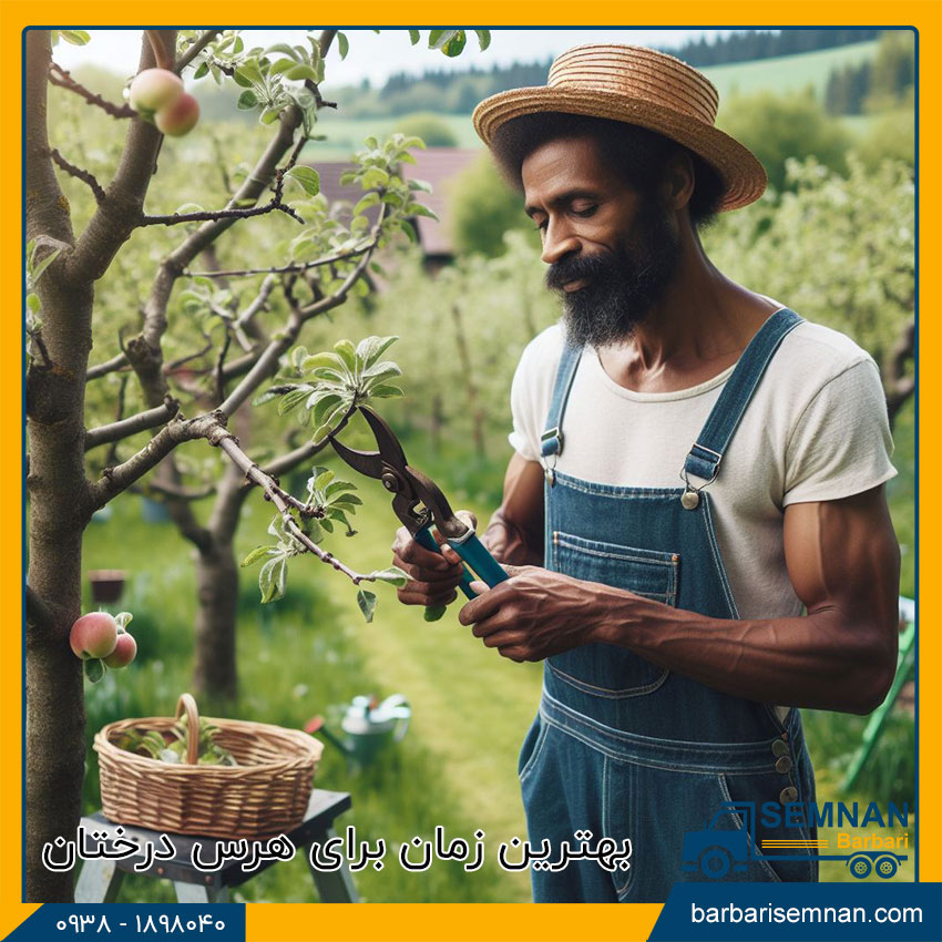 بهترین زمان برای هرس درختان 1 بهترین زمان برای هرس درختان