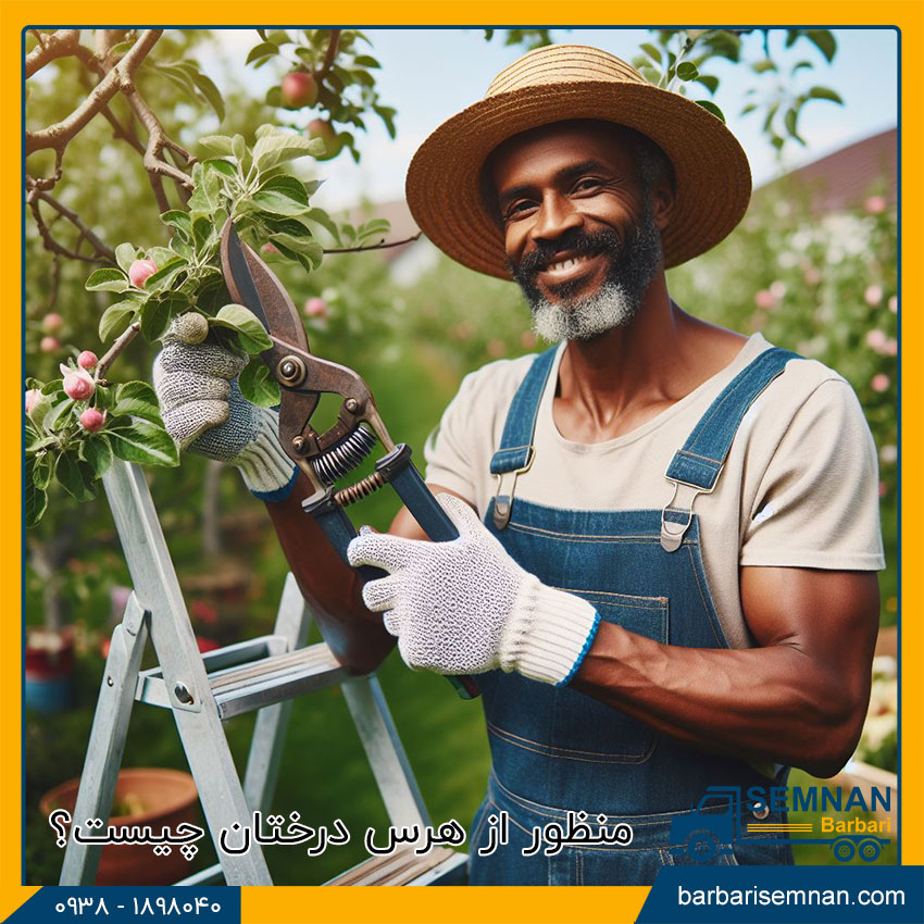 بهترین زمان برای هرس درختان 2 در فصل زمستان کدام یک از اندام های درخت هرس می شود؟