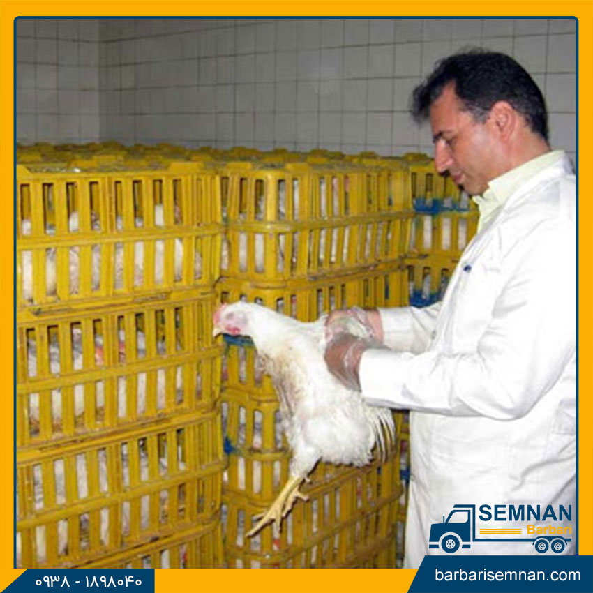 اصطلاحات باربری 14 مرسوله متحرک